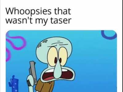 Definitely a small grey tazer