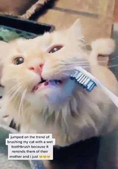 Remembering your mother