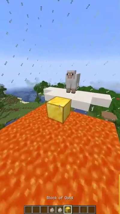 The lion locked in (video not mine)