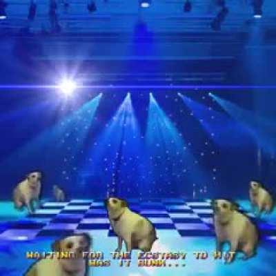 Seems like the right amount