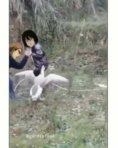 EM romcom be like...