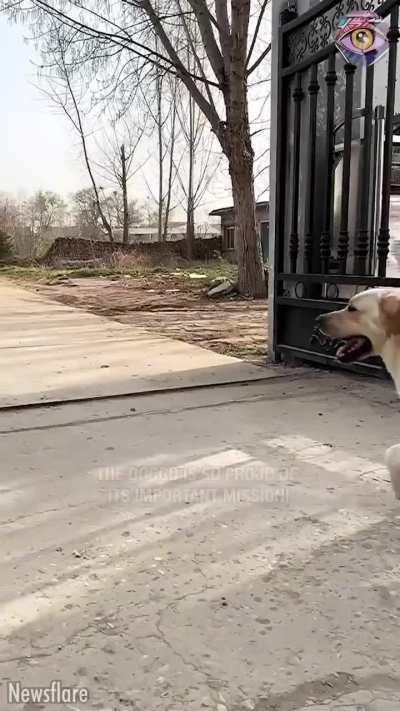 The CUTEST Uber driver 