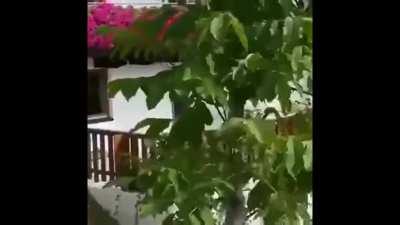 Craftsman with a nail gun follows the rhythm of the orchestra so as not to disturb them