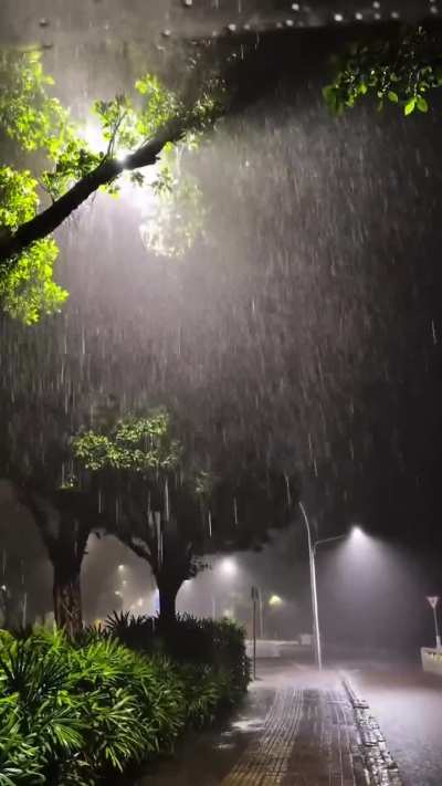 Finding serenity in the sound of rain.
