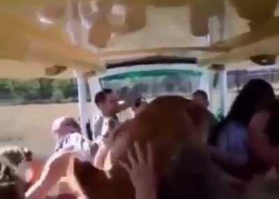 New wildlife experience