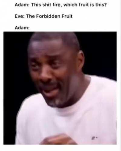 Watching the JBP bible series and saw this. Made me laugh XD