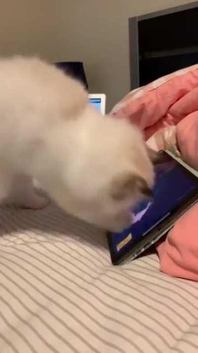 fish!!!!!!!!!fish!!!!!!!!!!!!!!