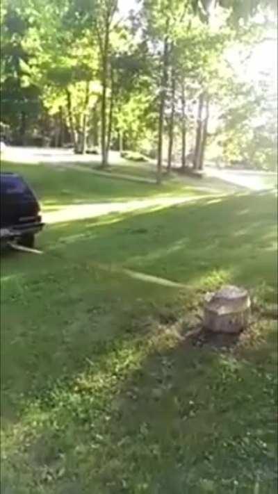 Pulling a stump