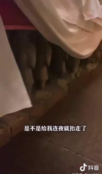 小兵马俑人儿996给你抬床，靠嫩娘还有什么不满意的！