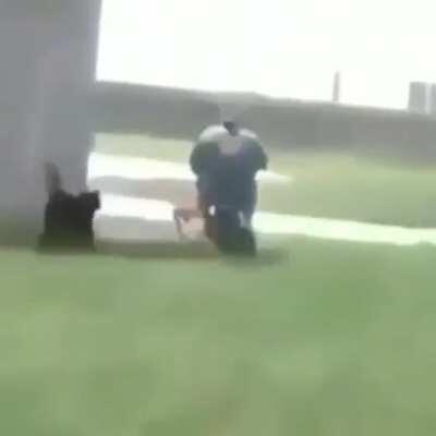 Y voy a seguir con mí tumbao 🤑