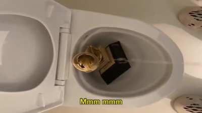 Junya (Grammy Piss Version)