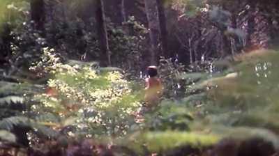 Catherine Spaak - Una Ragazza piuttosto complicata (IT1969) - A walk in the woods