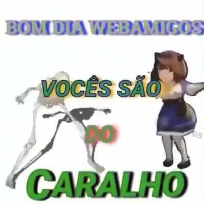 Bom dia boa noite