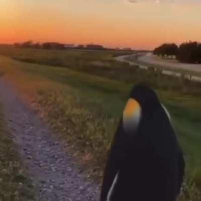 This is what the beginning of Lost Forever feels like