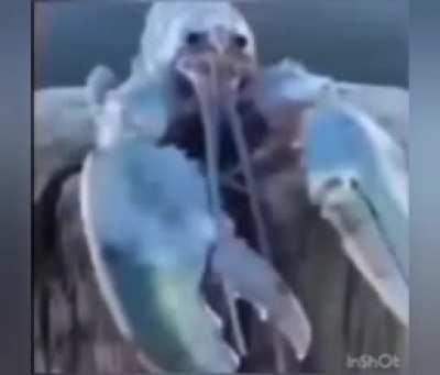 I'm 15 and this is yeet