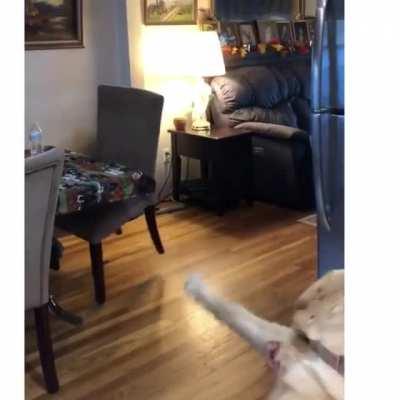 You're a Hairy Wizard