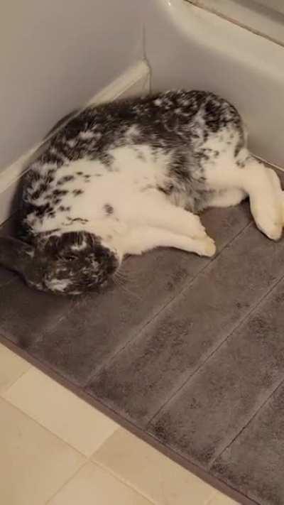 Monty does a flop