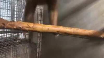 9/10 this is what is going on inside my head during a lecture