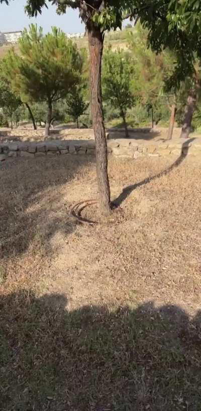 I'm excited for my so called 