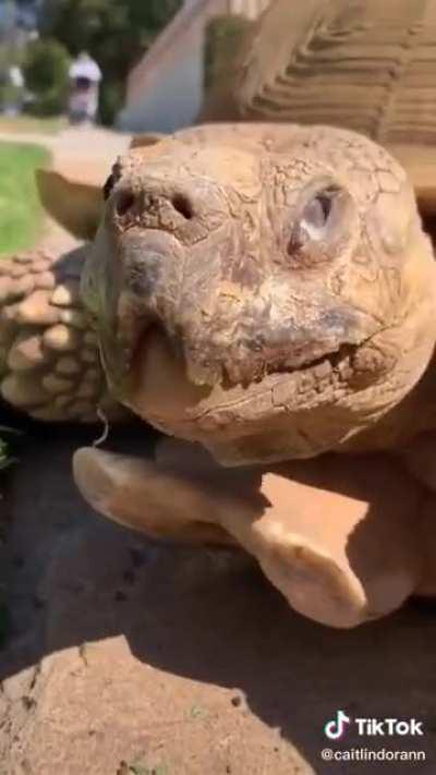 I’ve rewatched this video too many times