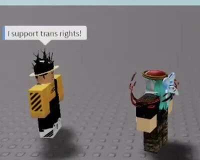 trans rights :troll: