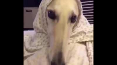 when you load in and hear the huntress lullaby