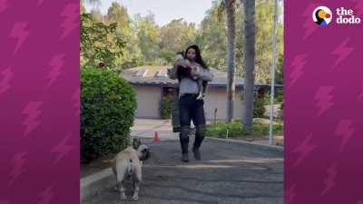 Peabody is precious and I would die for him