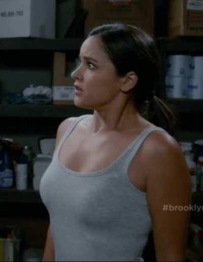 Melissa Fumero as Amy Santiago