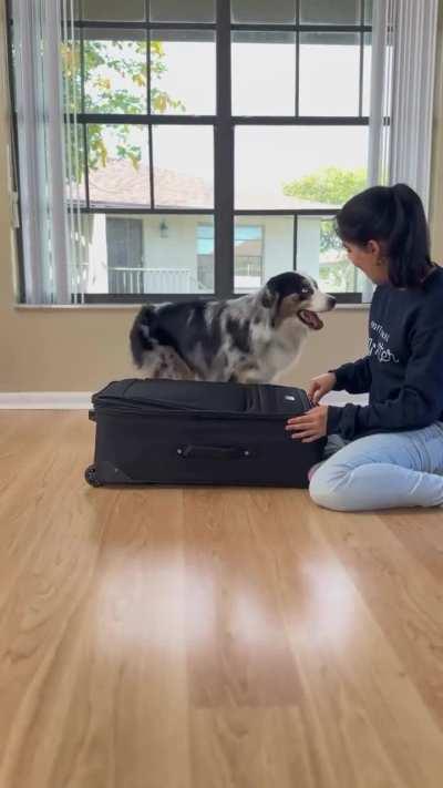 Incredible training from this girl