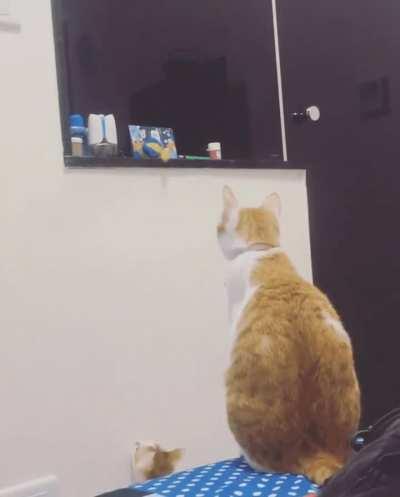 Mom! Mooom ...Can you get my toy for me?