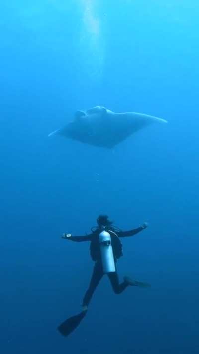 Pure magic in one frame