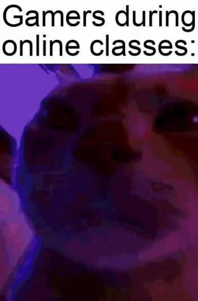 I need an RTX3090 to be able to run online classes at 240fps