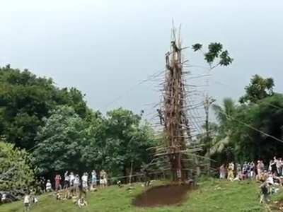 HMB while I sacrifices myself for a great harvest year.