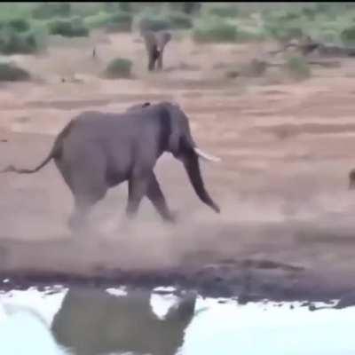 Всяк сверчок знай свой шесток