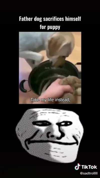 The best dog father :(