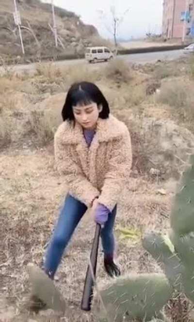 That’s what you get