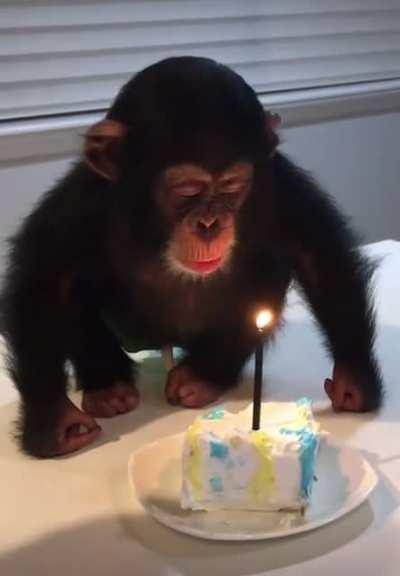 say happy birthday to him