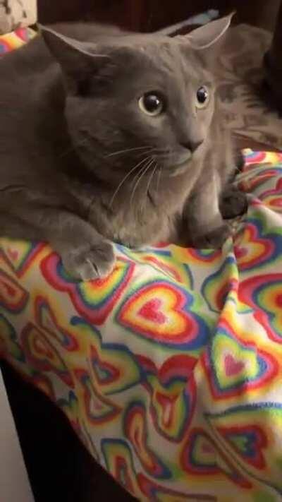 Her real name is Ash