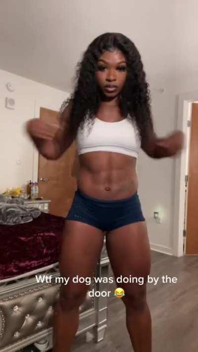 Why Rocky 😂🤦🏾‍♀️ #dogmom #doglover #funnydogs