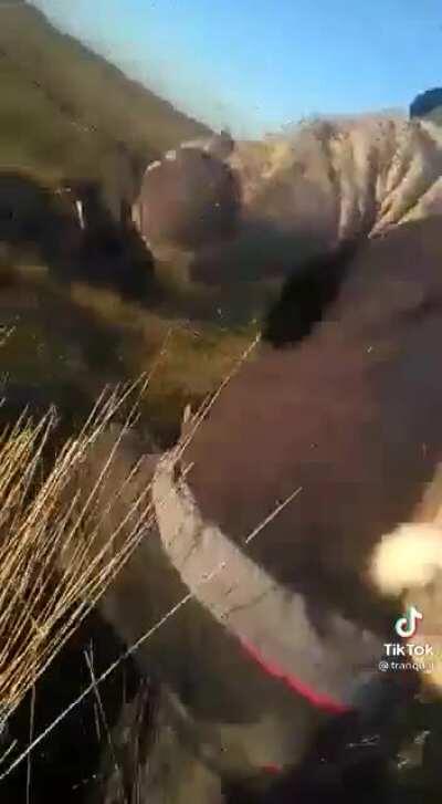 Invasion de mosquitos be like