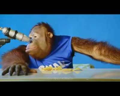 Flips the table for no reason, proceeds to eat chips while pretending like nothing happened. #Sigma