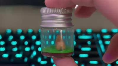 Made this mini gold bunny cage with clay and a small bottle