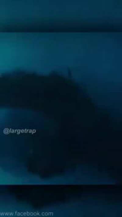 ElMillor debutando en la pelea vs Reven