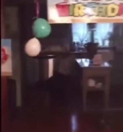 Oww… (credit: lil.reii)