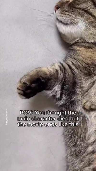 Will wunkus be alive for the sequel ?