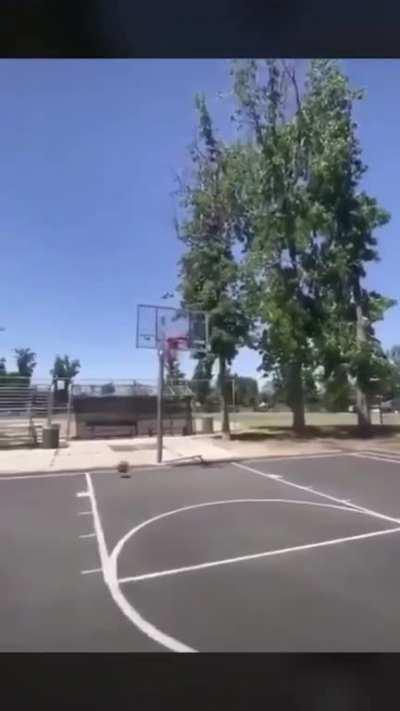 When being a young gun doesn't cut it