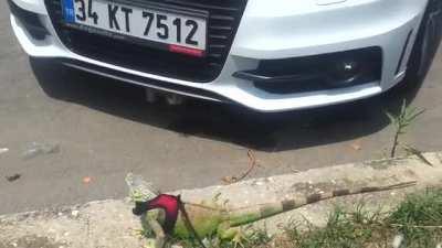 My buddy giving high five