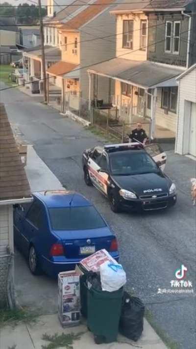 Cops keep their distance as an aggressive Pitbull attacks