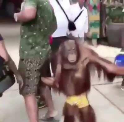 Teaching my DEO monkey some new tricks