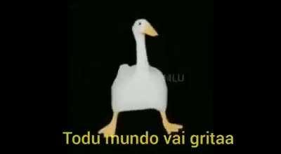 Todo mundo vai grita a a a a